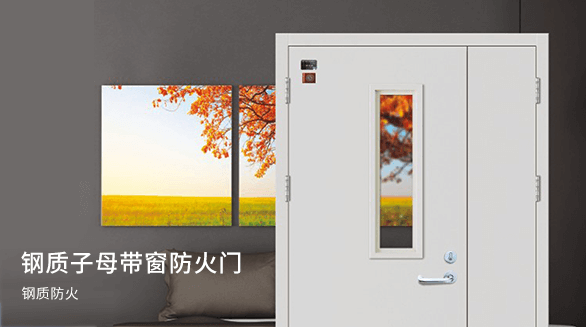 钢质子母带窗防火门系列